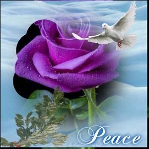 Meet your Posher, Dianne